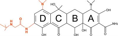 Resistance mechanisms of tigecycline in Acinetobacter baumannii